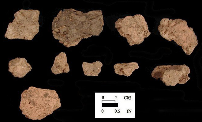 Mockley Body sherds from Ashcomb's Quarter and Awapantop, 18CV362.
